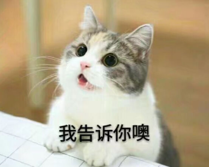 北京猫猫兼职靠谱不能赚多少大家都在问别错过