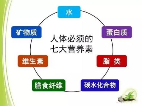 国企兼职管理：如何优化流程减少风险