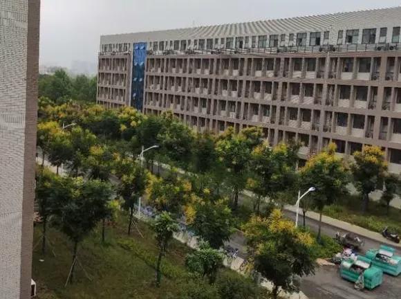 凤阳科技学院女生如何高效找到合适的兼职