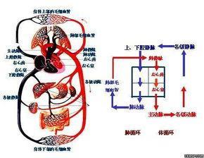 兼职比例过高你该如何调整以避免健康风险