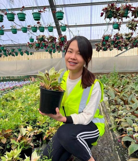 北京花圃兼职的工作机会在哪里能轻松找到