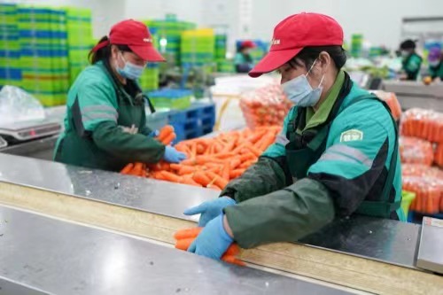 叮咚买菜陈列员兼职工作内容是什么适合学生吗