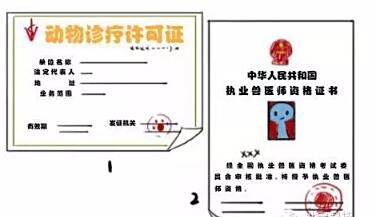 兼职app排名五花八门如何挑选最靠谱的