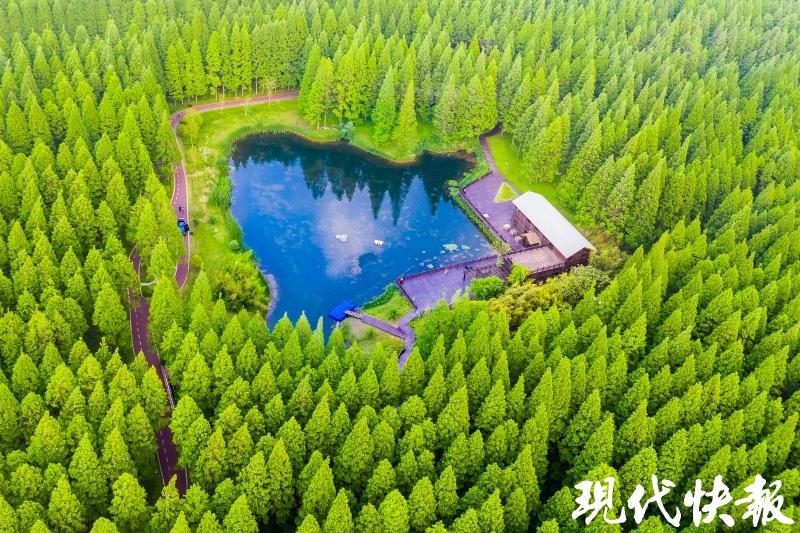东台黄海森林公园兼职如何高效申请成功