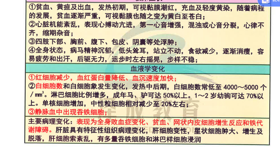 兼职机会清单在哪里可以轻松找到并开始工作