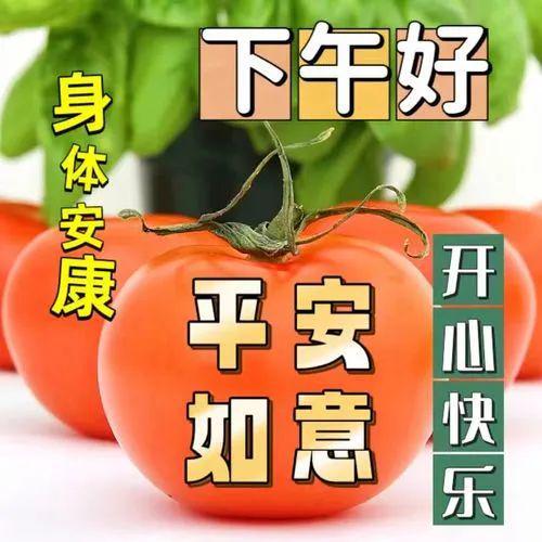 下午兼职有哪些好机会适合上班族灵活安排