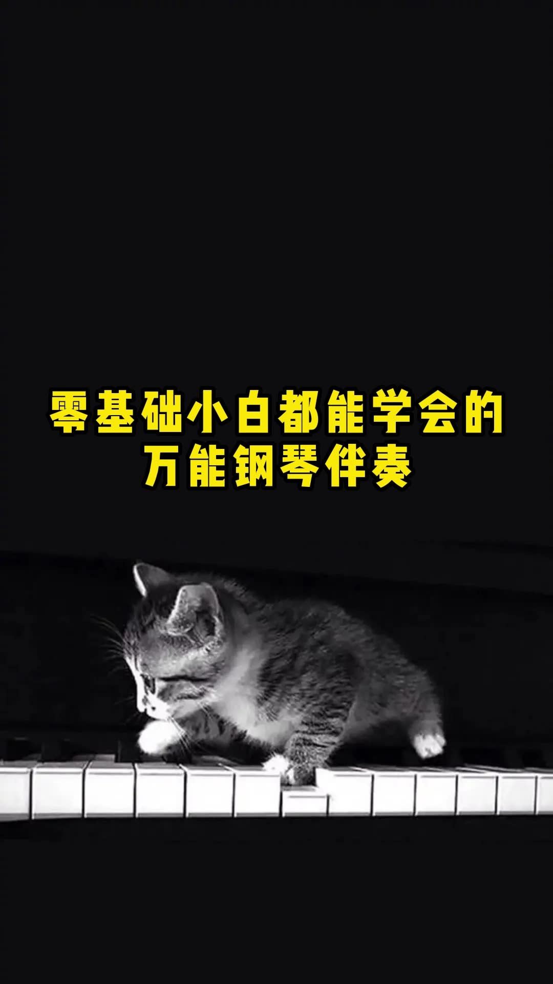 想找钢琴伴奏老师兼职？招聘机会就在这里，别错过！
